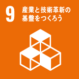 SDGs9